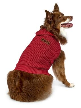 Vibrant Life NWT Red 'Spoiled' Waffle Knit Holiday Hooded Pet Sweater Dogs/Cats